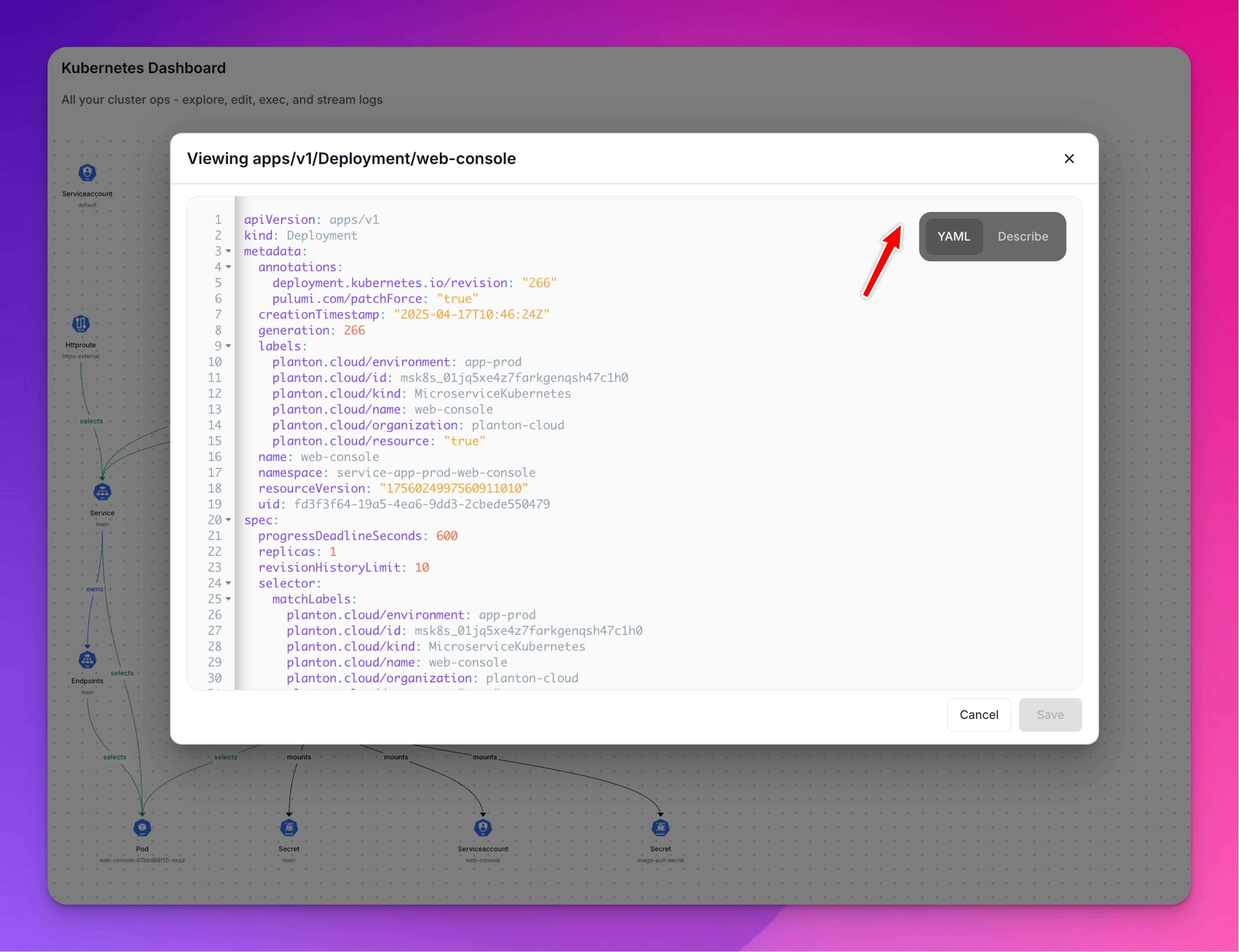 Deployment YAML View
